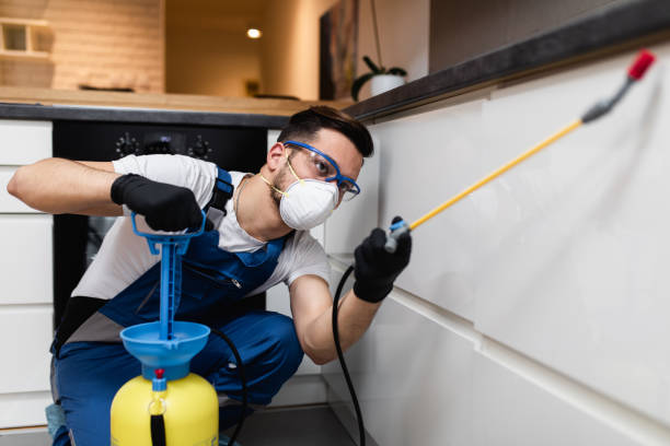 Trusted Rock Creek, AL Pest Control Experts
