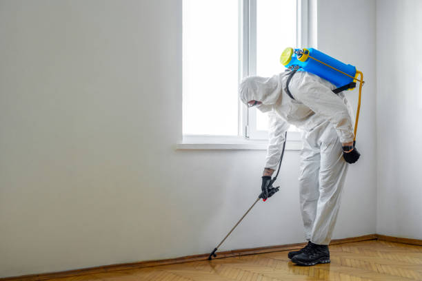 Best Exterminator Services  in Rock Creek, AL