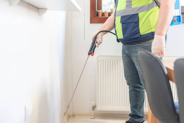Best Ant Control Services  in Rock Creek, AL