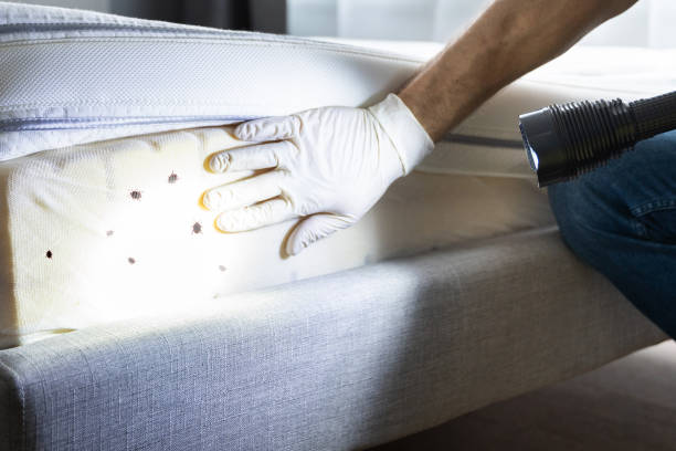 Best Pest Control for Businesses  in Rock Creek, AL