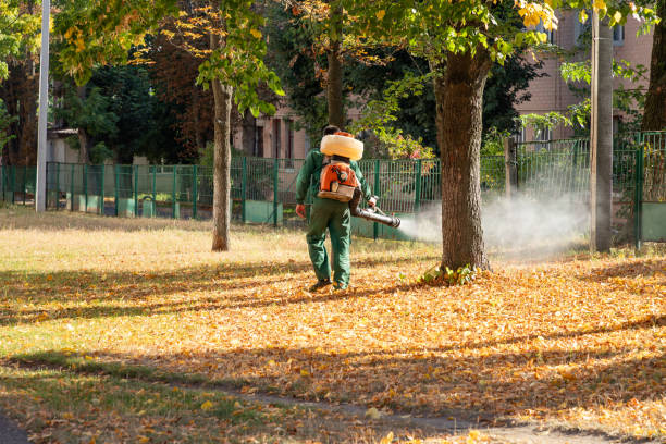 Best Best Pest Control Companies  in Rock Creek, AL