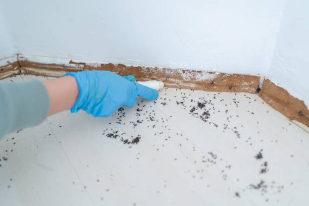 Best Commercial Pest Control Services  in Rock Creek, AL