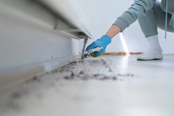 Best Pest Prevention Services  in Rock Creek, AL